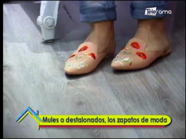 que son los zapatos mules