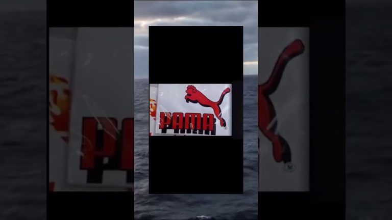 camiseta quien fuma el puma