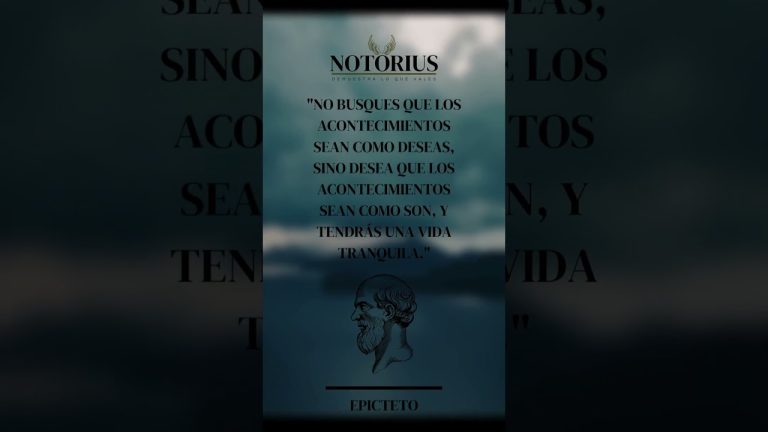 camiseta voy a dejar que las cosas fluyan