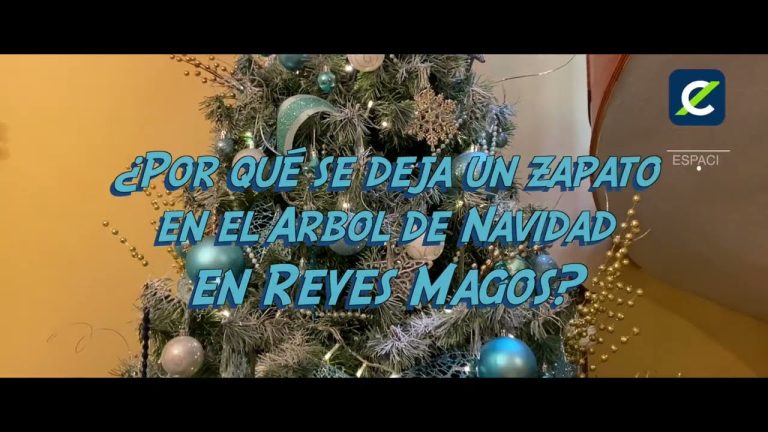 cuantos zapatos se ponen a los reyes magos