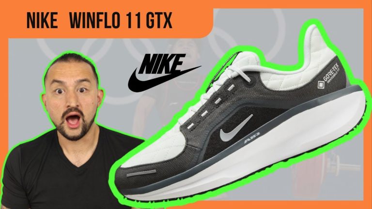 nike winflo 11 características