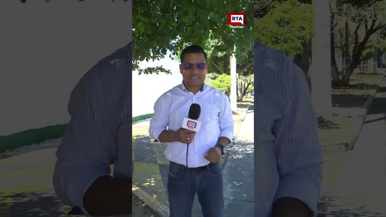 quien era niko arredondo