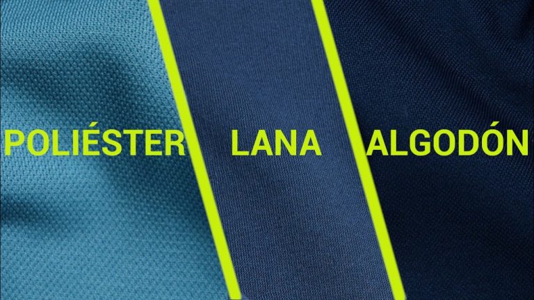 Diferentes tipos de camisetas: guía completa para elegir la ideal