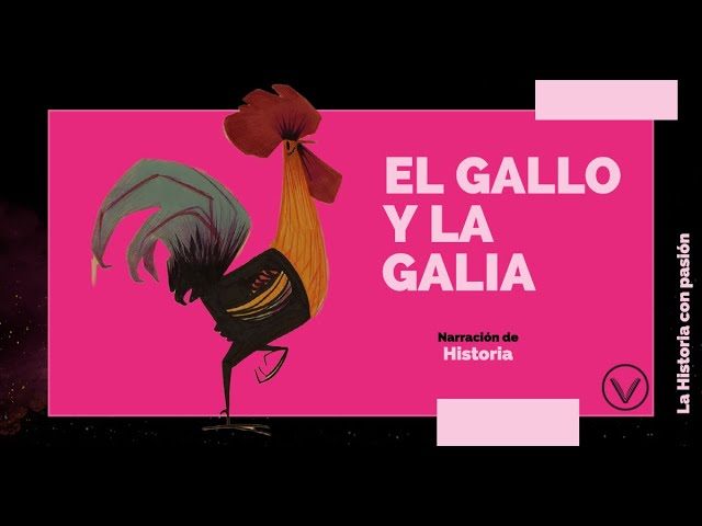¿Qué significa el gallo en la camiseta de Francia? Significado y simbolismo