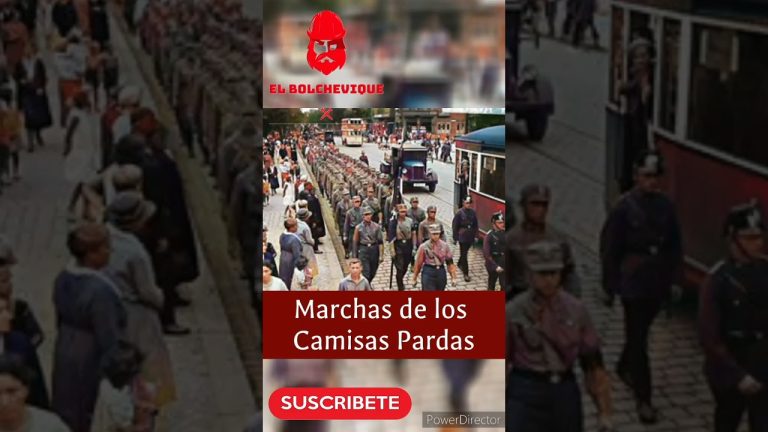 quienes eran los camisas pardas